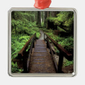 NA, VS, Californië, Jedidiah Smith Redwood Metalen Ornament (Voorkant)
