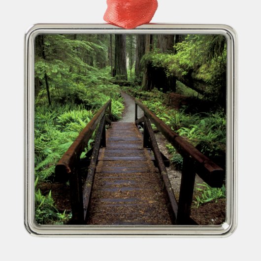 NA, VS, Californië, Jedidiah Smith Redwood Metalen Ornament (Voorkant)