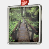 NA, VS, Californië, Jedidiah Smith Redwood Metalen Ornament (Links)