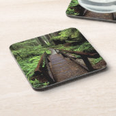 NA, VS, Californië, Jedidiah Smith Redwood Onderzetter (Linkerzijde)