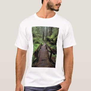 NA, VS, Californië, Jedidiah Smith Redwoods T-shirt