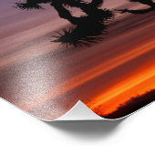 NA, VS, Californië. Joshua Tree National Foto Afdruk (Hoek)