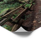 NA, VS, Californië, Marin County, Muir Bossen Poster (Hoek)