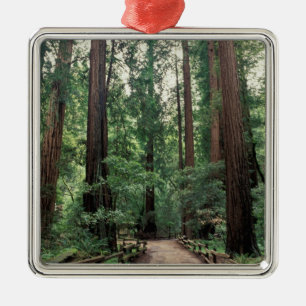 NA, VS, Californië, Marin County, Muir Woods Metalen Ornament
