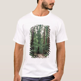 NA, VS, Californië, Marin County, Muir Woods T-shirt