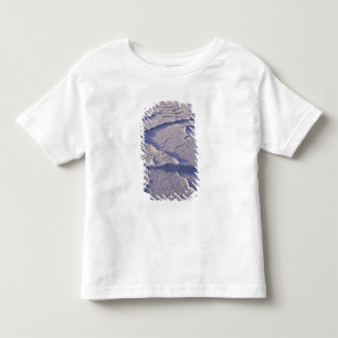 NA, VS, Californië. Nationaal park Death Valley Kinder Shirts