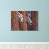 NA, VS, Californië. Nationaal park Sequoia. 2 Canvas Afdruk (Insitu (Houten vloer))