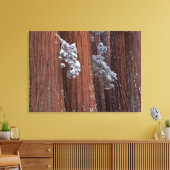 NA, VS, Californië. Nationaal park Sequoia. 2 Canvas Afdruk (Insitu (Woonkamer))
