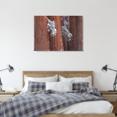NA, VS, Californië. Nationaal park Sequoia. 2 Canvas Afdruk (Insitu (Slaapkamer))