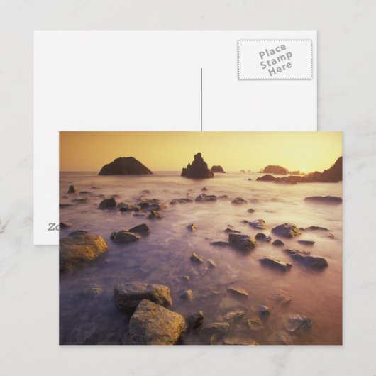 NA, VS, Californië, Noord-Californië, Briefkaart (Voorkant / Achterkant)