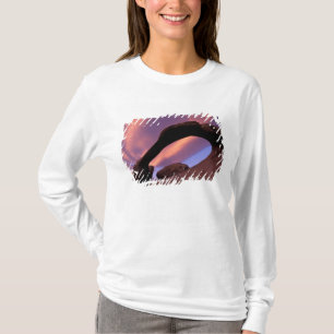 NA, VS, Californië, Oost-Sierra, Alabama T-shirt