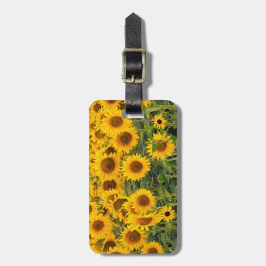 Na, VS, Colorado, zonnebloemen Bagagelabel (Voorkant verticaal)
