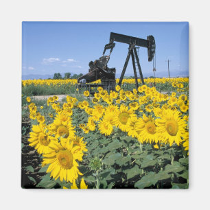 Na, VS, Colorado, Zonnebloemen, Olieboortoren Magneet