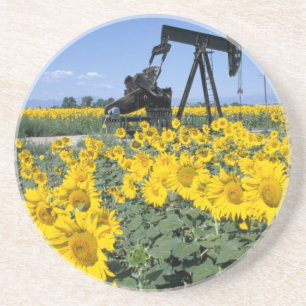 Na, VS, Colorado, Zonnebloemen, Olieboortoren Zandsteen Onderzetter