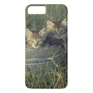 NA, VS, Florida, landelijk Florida. Acht weken oud Case-Mate iPhone Case