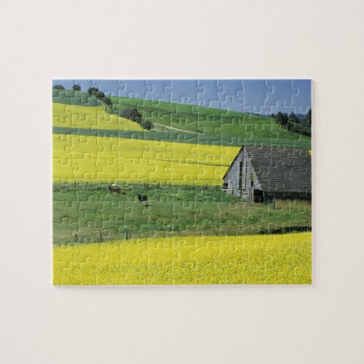 NA, VS, Idaho, nabij Potlatch, Koolzaad en oud Legpuzzel (Horizontaal)