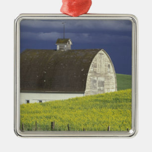 NA, VS, Idaho, ten zuiden van Genesse, koolzaadvel Metalen Ornament