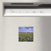 NA, VS, Kansas, Zonnebloem gewas Magneet (Insitu (Vaatwasser))