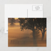 NA, VS, Kentucky. Foggy sunrise op Kentucky Briefkaart (Voorkant / Achterkant)