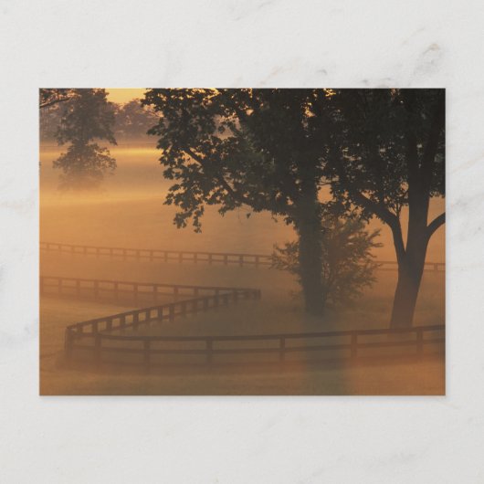 NA, VS, Kentucky. Foggy sunrise op Kentucky Briefkaart (Voorkant)