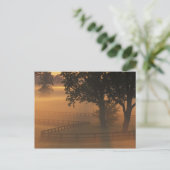 NA, VS, Kentucky. Foggy sunrise op Kentucky Briefkaart (Staand voorkant)