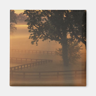 NA, VS, Kentucky. Nevelige zonsopgang in Kentucky Magneet