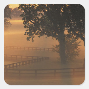 NA, VS, Kentucky. Nevelige zonsopgang in Kentucky Vierkante Sticker