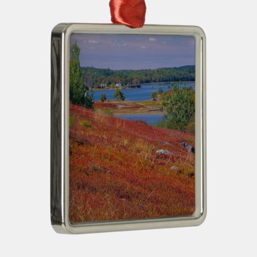 NA, VS, Maine. Blauwbes. Metalen Ornament (Rechts)