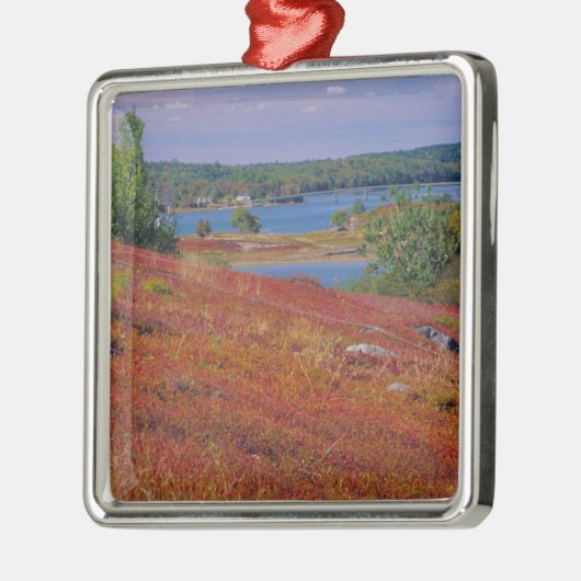 NA, VS, Maine. Blauwbes. Metalen Ornament (Links)