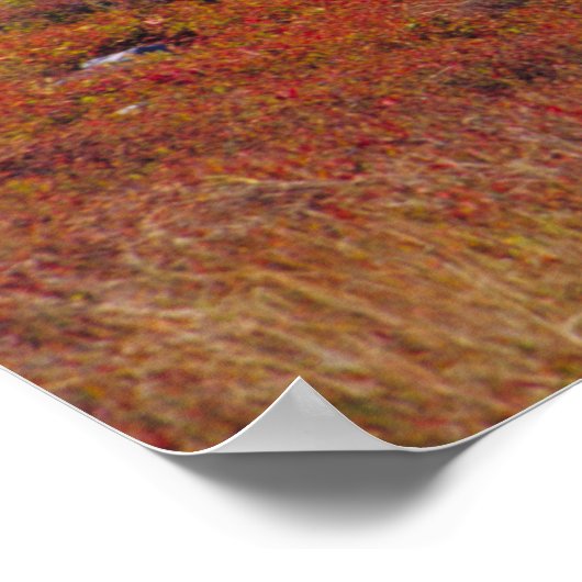 NA, VS, Maine. Blauwbes. Poster (Hoek)