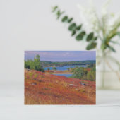 NA, VS, Maine. Blauwe bosbes heide. Briefkaart (Staand voorkant)