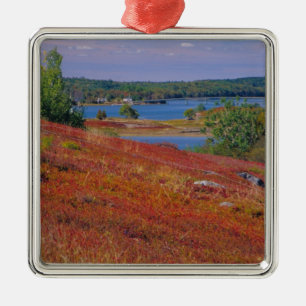 NA, VS, Maine. Blauwe bosbes heide. Metalen Ornament