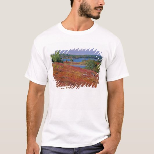 NA, VS, Maine. Blauwe bosbes heide. T-shirt (Voorkant)