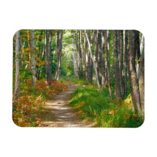 NA, VS, Maine. Jessup trail in Acadia National Magneet