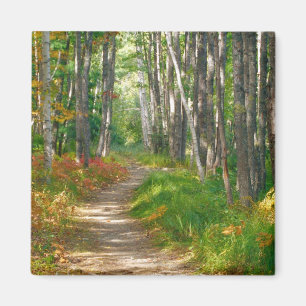 NA, VS, Maine. Jessup trail in Acadia National Magneet