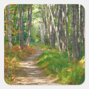 NA, VS, Maine. Jessup trail in Acadia National Vierkante Sticker