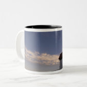 NA, VS, Massachusetts, Nantucket Island, 3 Tweekleurige Koffiemok (Voorkant links)