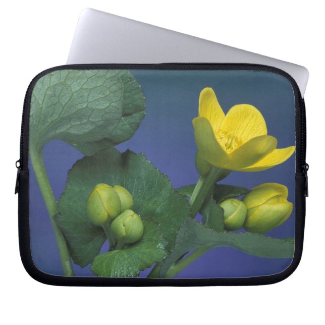 NA, VS, Michigan, Rochester Hills. Marsh Laptop Sleeve (Voorkant)