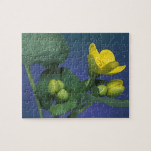 NA, VS, Michigan, Rochester Hills. Moeras Legpuzzel