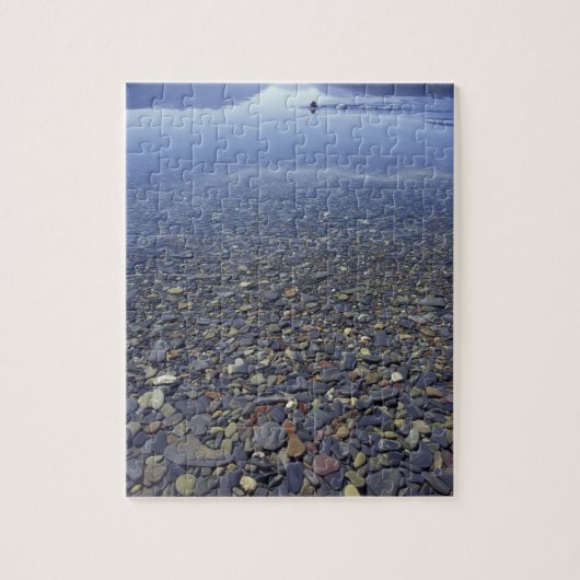 NA, VS, Montana, Glacier NP Rocks in Lake Legpuzzel (Verticaal)