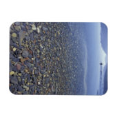 NA, VS, Montana, Glacier NP Rocks in Lake Magneet (Horizontaal)