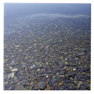 NA, VS, Montana, Glacier NP Rocks in Lake Tegeltje