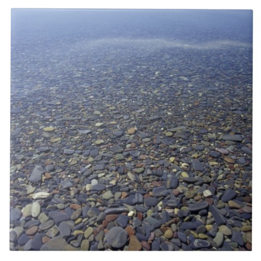 NA, VS, Montana, Glacier NP Rocks in Lake Tegeltje (Voorkant)