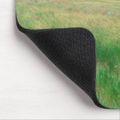 NA, VS, NE. Graslanden bij Ogallala met Muismat (Hoek)