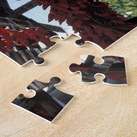 NA, VS, New Mexico, Santa Fe. Legpuzzel (Zijkant)