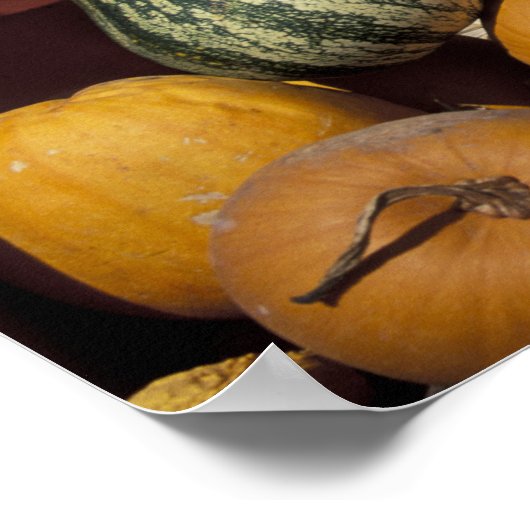 NA, VS, New Mexico, Taos. Chili stand. Poster (Hoek)