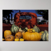 NA, VS, New Mexico, Taos. Chili stand. Poster (Voorkant)