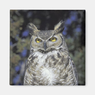NA, VS, New Mexico, Wildlife West Nature Park Magneet