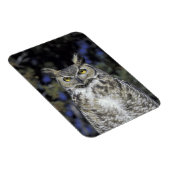 NA, VS, New Mexico, Wildlife West Natuur Park Magneet (Rechterzijde)