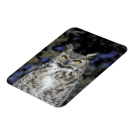 NA, VS, New Mexico, Wildlife West Natuur Park Magneet (Linkerzijde)